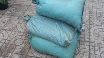 GIÁ THỂ TRỒNG HOA HỒNG